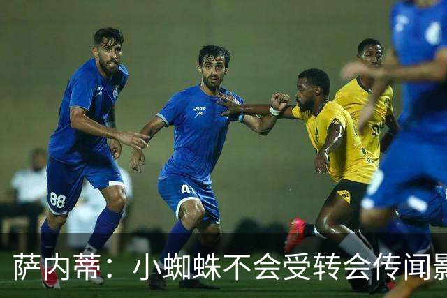 萨内蒂：小蜘蛛不会受转会传闻影响 帕斯可能成为阿根廷关键球员